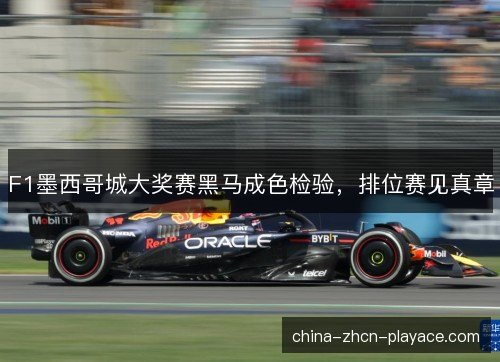 F1墨西哥城大奖赛黑马成色检验，排位赛见真章